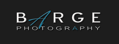 Cincinnati Wedding Photographer | West Chester Photographer | Cincy Bride logo
